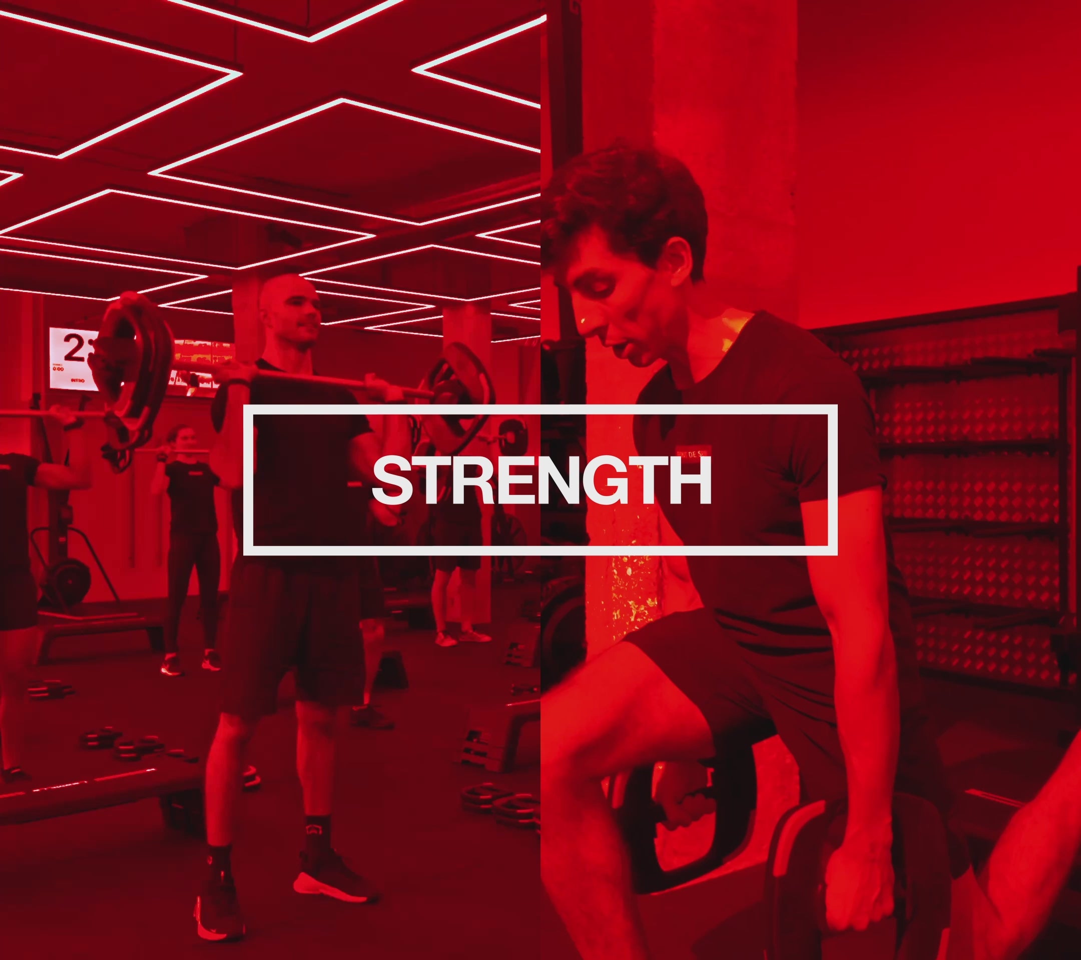 Charger la vidéo : 